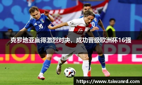 MK体育手机下载