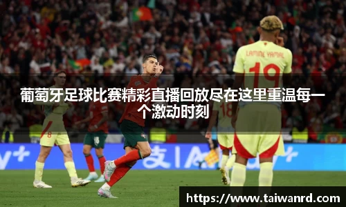 MK体育手机下载