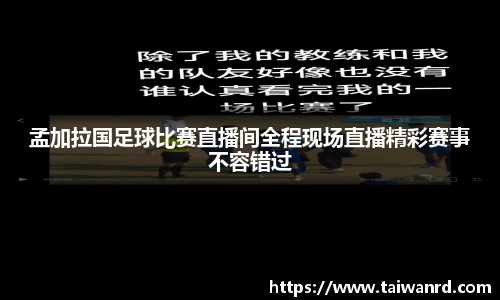 MK体育新版本
