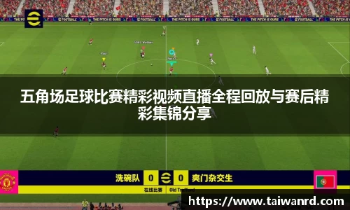 MK体育网址