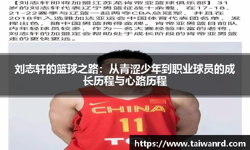 MK体育新版本