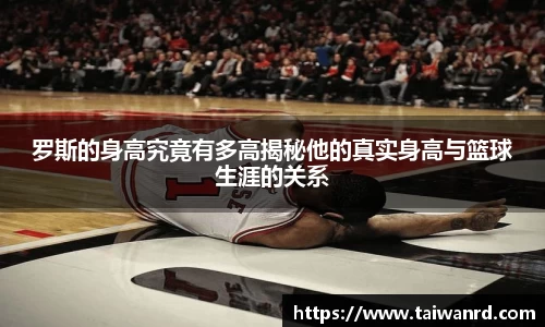 罗斯的身高究竟有多高揭秘他的真实身高与篮球生涯的关系
