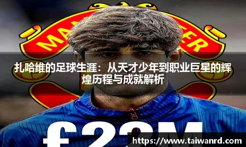 MK体育新版本