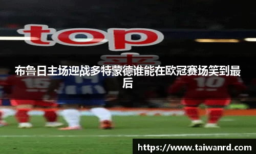 MK体育手机下载