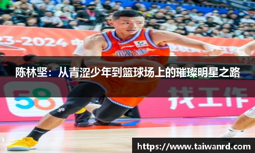 MK体育手机下载